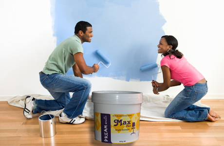 Dreamwalls Max Acrylic Distemper